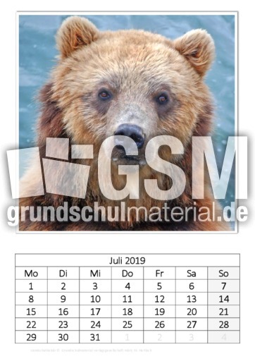 Juli_Kamtschatkabär_1.pdf